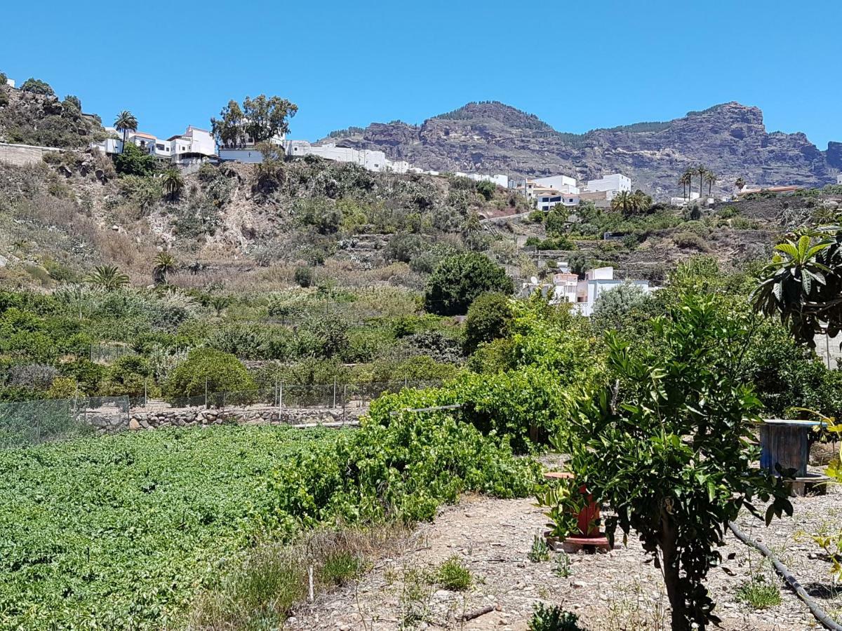 Casa Rural La Hoyita De Tunte San Bartolomé Exterior foto